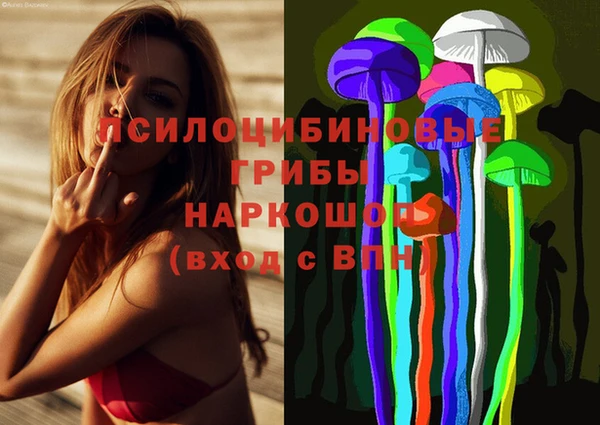 мдпв Белокуриха
