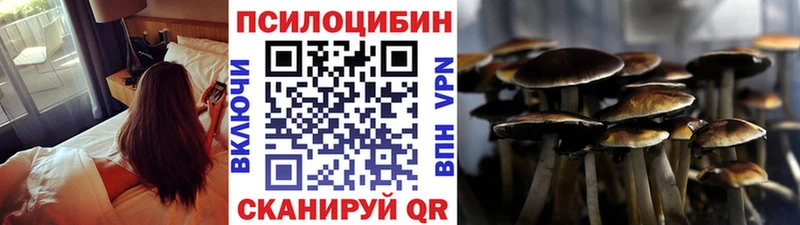 Псилоцибиновые грибы Cubensis  купить  сайты  Елизово 