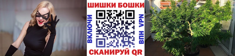 купить наркотик  Елизово  Канабис план 